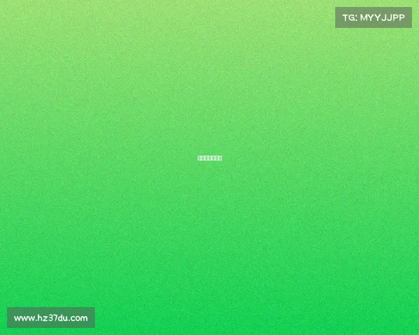 网球的赛事规则